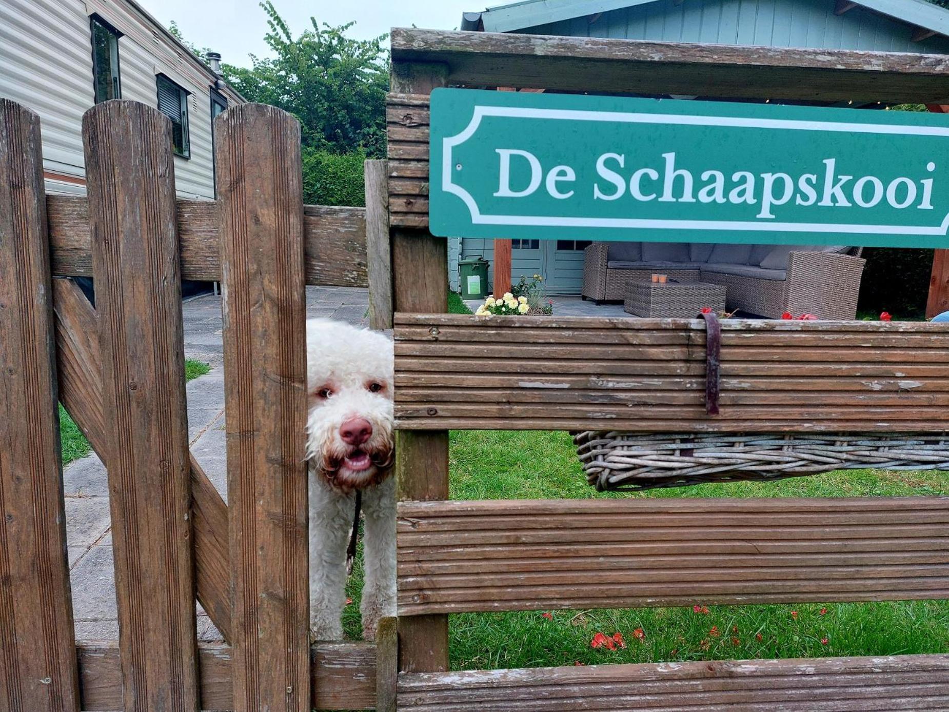 Familychalet De Schaapskooi, 6-Persons, Big Private Garden, Dogs Aloud Westergeest Εξωτερικό φωτογραφία